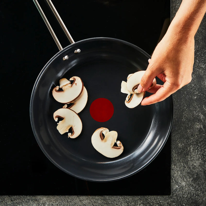 Tefal Nordica — Set di 2 padelle (24/28 cm)